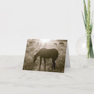 Fristaden Notecard för Black Hills vildhäst Kort
