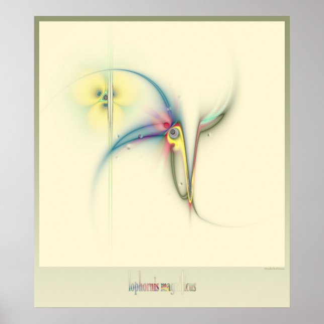 friterad coquette poster (Framsidan)