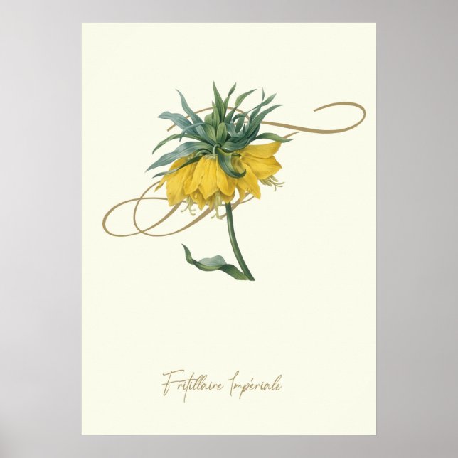 Fritillaire Poster (Framsidan)