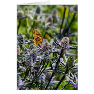 Fritillär fjäril på Lodrät Blue Thistle Hälsningskort