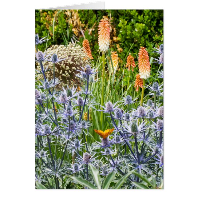 Fritillarfjäder i en sommarträdgård hälsningskort (Framsidan)