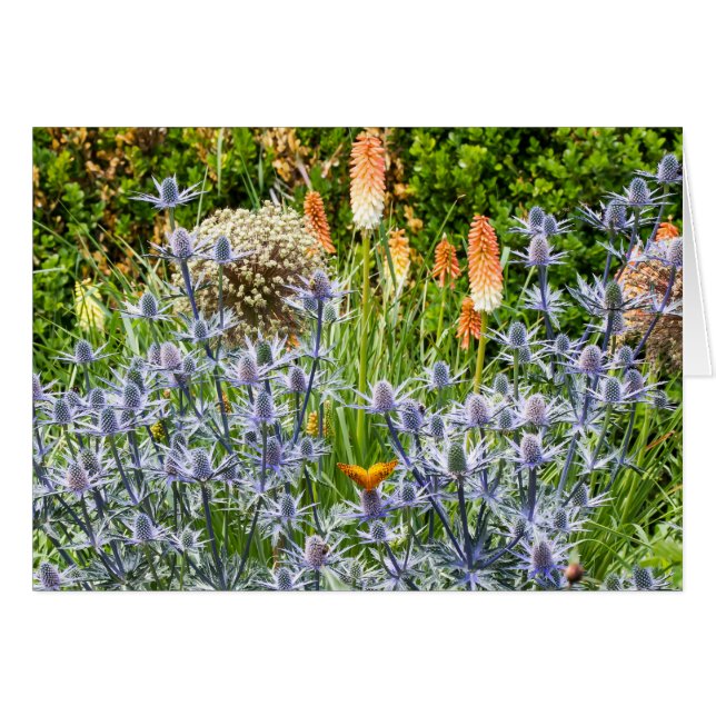 Fritillarfjäder i en sommarträdgård hälsningskort (Framsidan Horizontal)