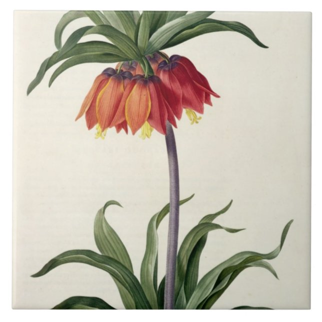 Fritillaria Imperialis från, "Les Lilacees", 1802- Kakelplatta (Framsidan)