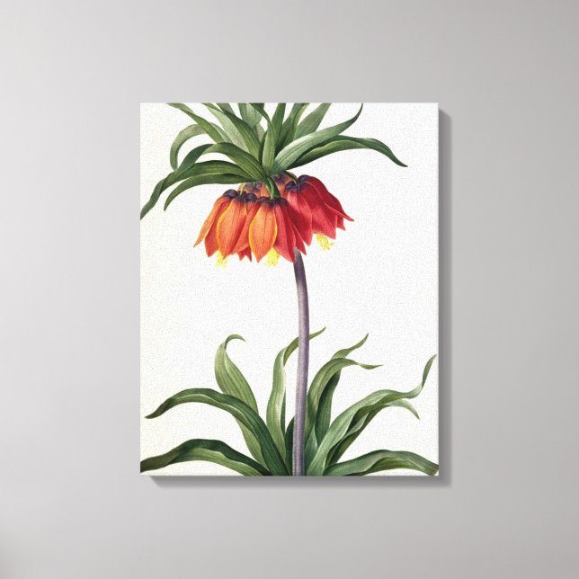 Fritillaria Imperialis from, `Les Lilacees', 1802- Canvastryck (Framsida)