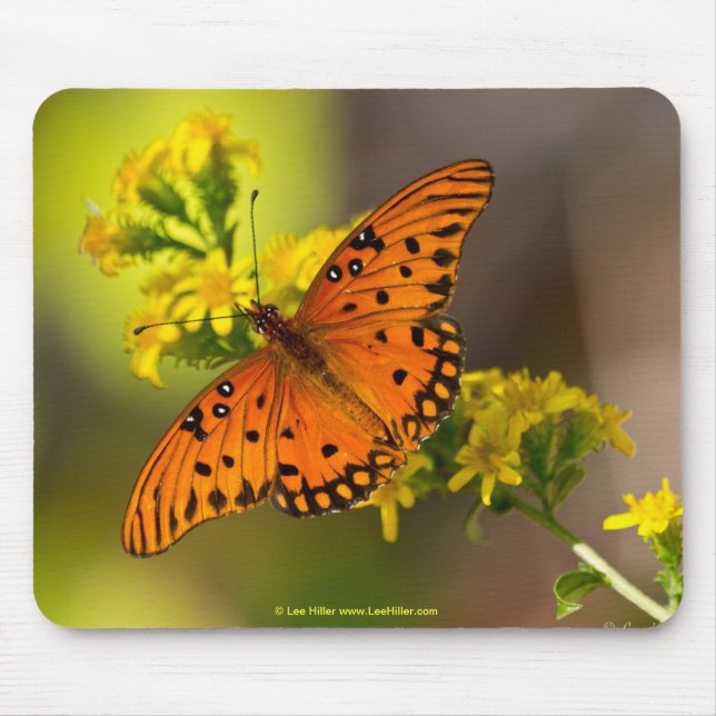 Fritillary Gulf Fjärilsgåvor och kläder Musmatta (Framsidan)