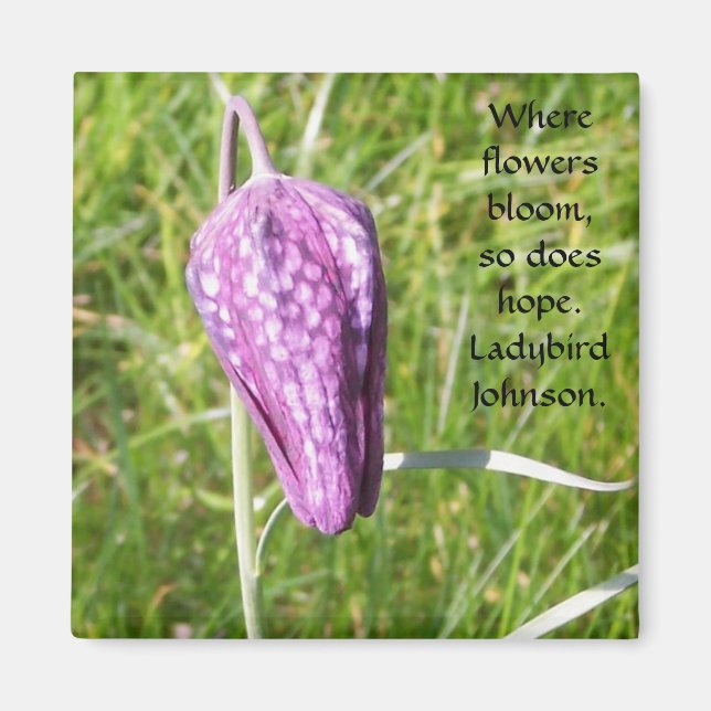 Fritillary Magnet (Framsidan)