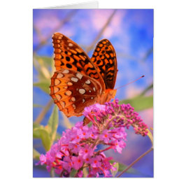 Fritillary on Blue - Bright Butterfly Hälsningskort