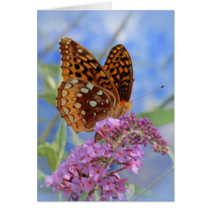 Fritillary on Blue - Butterfly Hälsningskort