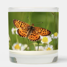 Fritillary vid silver på Fleabane