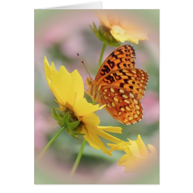 Fritillerivärlden Hälsningskort (Framsidan)