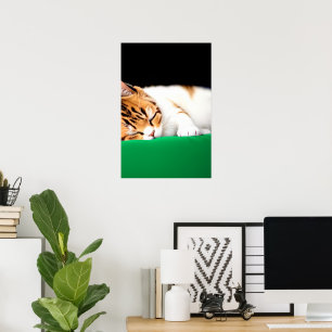 FRITT PALESTINSKT Flagga Poster