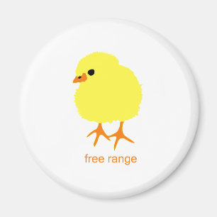 Fritt spänna chicken magnet