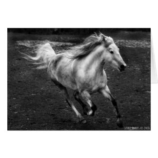 Fritt spänna glädje av Sande Elkins Hälsningskort