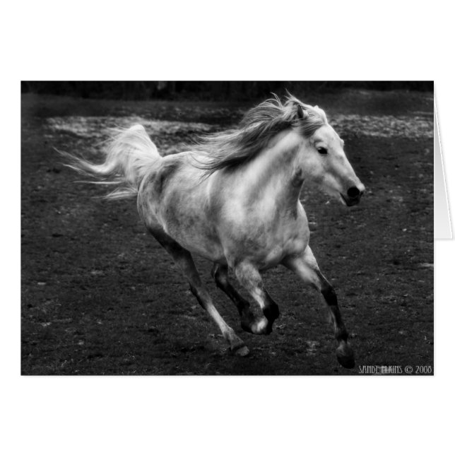 Fritt spänna glädje av Sande Elkins Hälsningskort (Framsidan Horizontal)