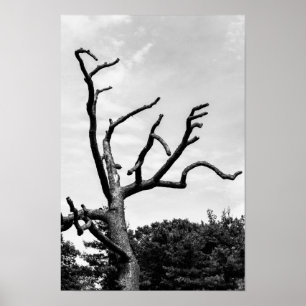 fritt träd poster
