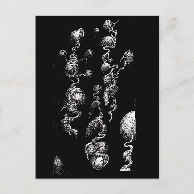 Frivillig flytande ekologiska flyg vykort (Framsida)