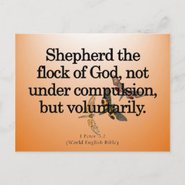 Frivillig tjänst 1 Peter 5-2 Vykort