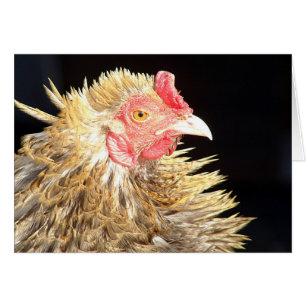 Frizzle Roo Hälsningskort