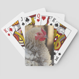 Frizzle Tupp Casinokort