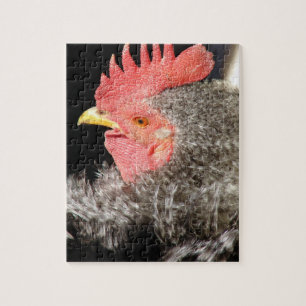 Frizzle Tupp Pussel