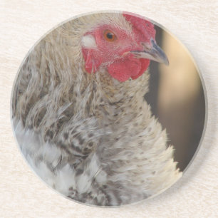 Frizzle Tupp Underlägg