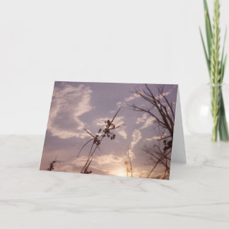 Frö i tidig afton kort