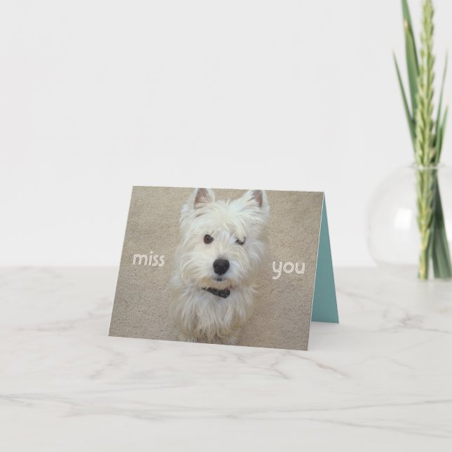 Fröcken dig kort (Framsida)