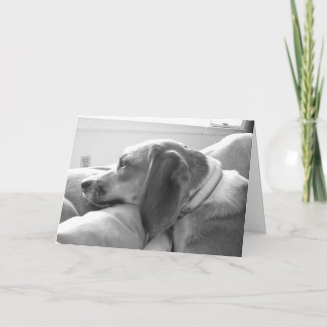 Fröcken dig kort (Framsida)