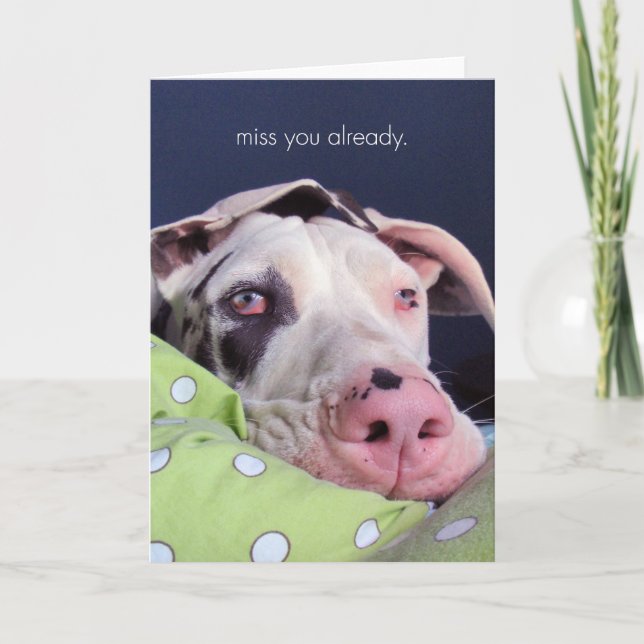 Fröcken dig redan kort (Framsida)