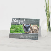 Fröcken du önskar att jag kunde se dig förbigå