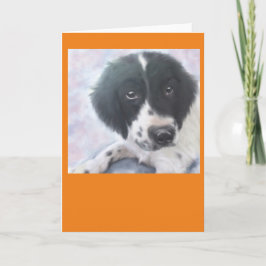 Fröcken Fannie - Spaniel för engelsk Springer - Kort