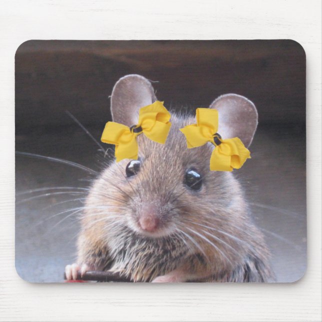 Fröcken Mousie vadderar Musmatta (Framsidan)