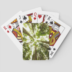Frodig grön regnskog casinokort