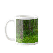 Frodig grön skogsmiljö