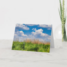 Frodig jordbruksmark, Sydafrika Helgkort