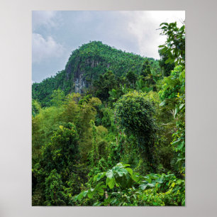 Frodig regnskog och El Yunque-toppen Poster