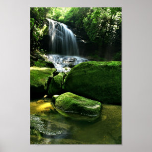 Frodig regnskogvattenfall i solljus poster