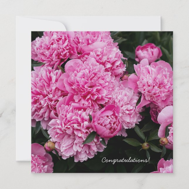 Frodig Rosa Pion Trädgård Blommig Fin Konst Julkort (Framsida)