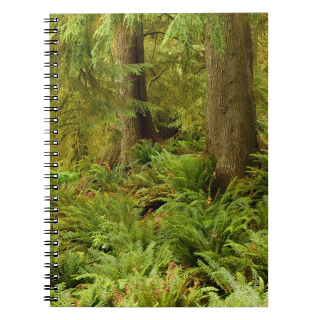 Frodig skog och ormbunkar | Ecola State Park, Oreg Anteckningsbok (Framsidan)