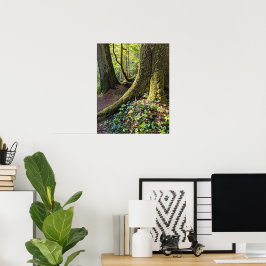 Frodig Ständigt Grön Skog Fotografisk Natur Poster
