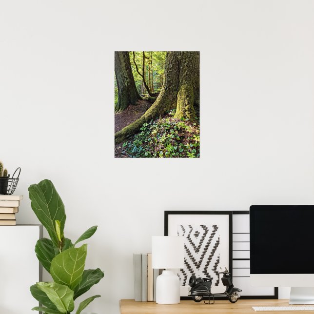 Frodig Ständigt Grön Skog Fotografisk Natur Poster (Hemmakontoret)