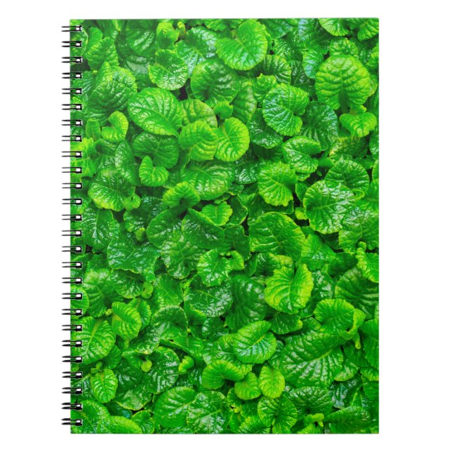 Frodiga Gröna Blad  Anteckningsbok (Framsidan)