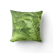 Frodiga gröna Ferns