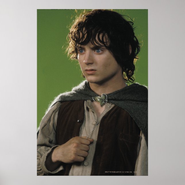 FRODO™ Holding Ring Poster (Framsidan)