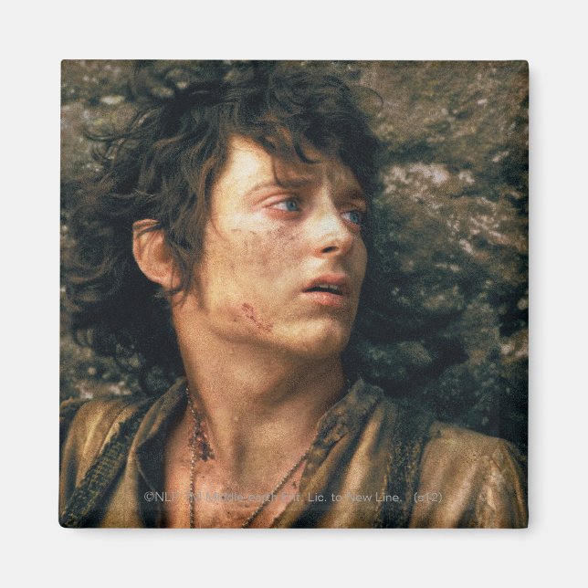 FRODO™ i förtvivlan Magnet (Framsidan)