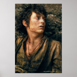 FRODO™ i förtvivlan Poster