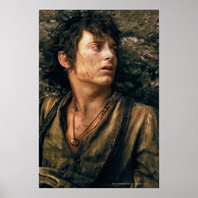 FRODO™ i förtvivlan Poster (Framsidan)