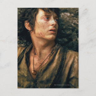 FRODO™ i förtvivlan Vykort