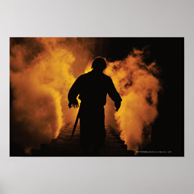 FRODO™ vid monteringsdomän Poster (Framsidan)
