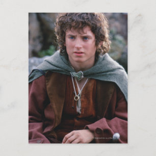 FRODO™ VYKORT